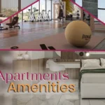 Top 8 Apartment Amenities